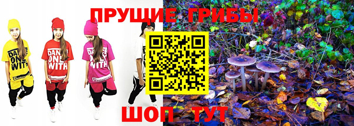 Галлюциногенные грибы GOLDEN TEACHER  Галлюциногенные грибы Psilocybe  Вход с VPN  Полысаево 